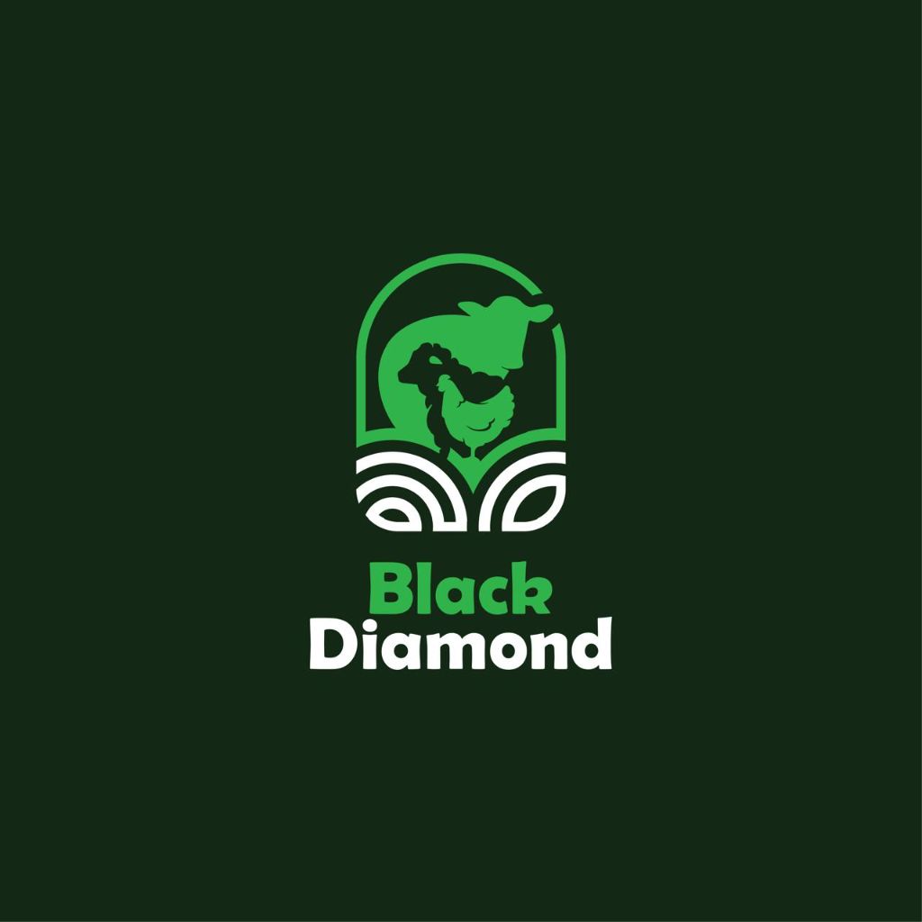 Black Diamond 브랜드 로고